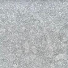 Fossil Gris 60x60x2cm